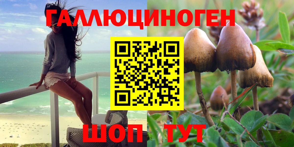 Псилоцибиновые грибы Magic Shrooms Нягань